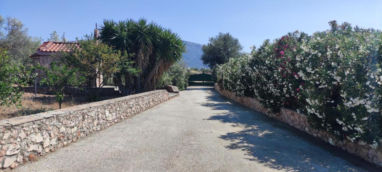 Ellie'S Stonehouse Gianapa, Porto Rafti, Greece, 190 03, Gr Villa Buitenkant foto